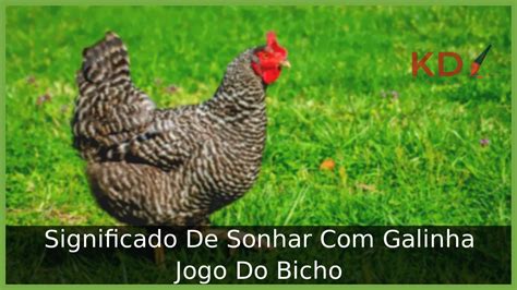 sonhar com pé de galinha no jogo do bicho